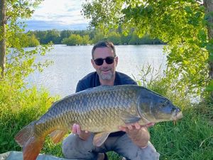 Common Carp