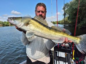 Zander