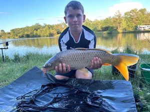 Common Carp