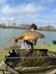 Mirror Carp