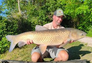 Grass Carp
