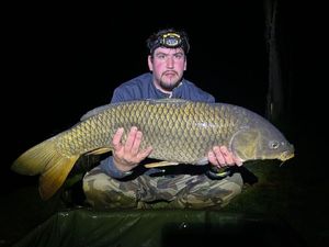 Common Carp