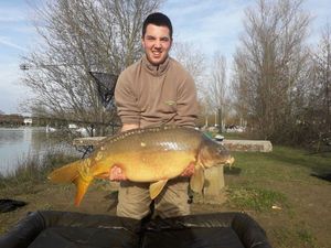 Mirror Carp