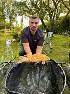 Koï Fish