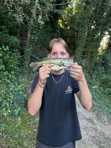 Smallmouth Bass