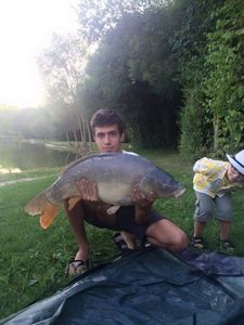 Mirror Carp