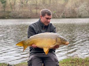 Mirror Carp
