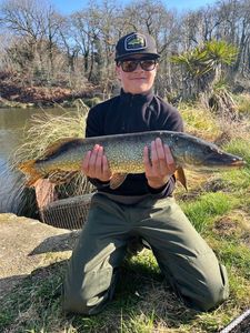Northern Pike