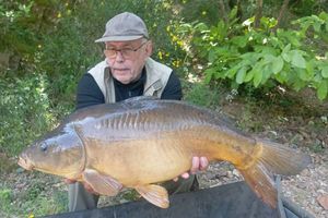 Mirror Carp