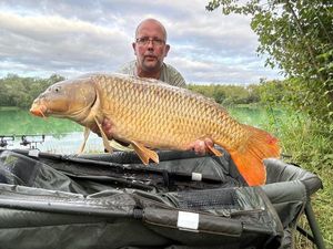 Common Carp