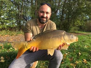 Mirror Carp