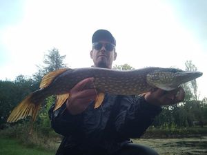 Northern Pike
