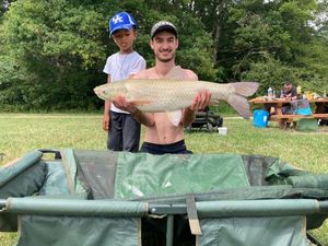 Silver Carp