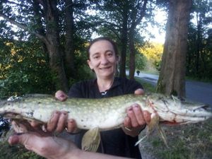 Northern Pike