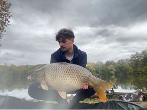 Common Carp