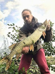 Northern Pike