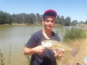 Largemouth Bass
