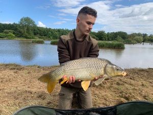Common Carp