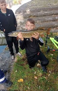 Northern Pike