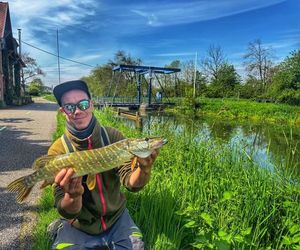 Northern Pike