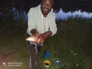 Tench