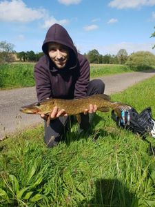 Northern Pike