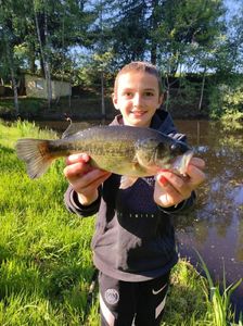 Largemouth Bass
