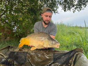 Mirror Carp