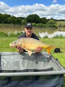 Mirror Carp