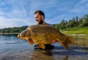 Mirror Carp