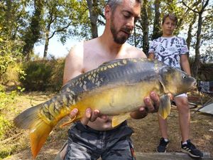 Mirror Carp