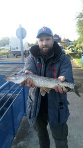 Northern Pike