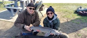 Sturgeon