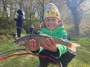 Rainbow Trout