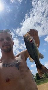 Largemouth Bass
