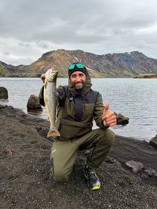Arctic Char