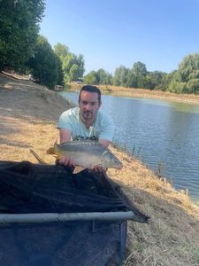 Mirror Carp