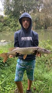 Northern Pike