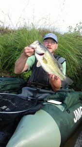 Smallmouth Bass