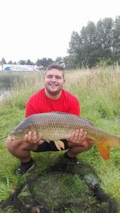 Common Carp