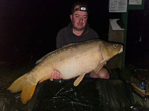 Mirror Carp