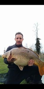 Common Carp