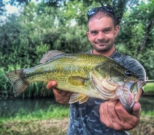 Largemouth Bass