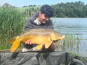 Mirror Carp