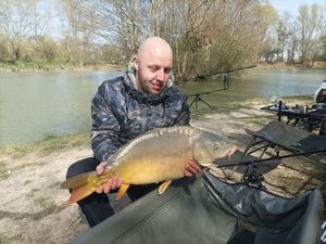 Mirror Carp