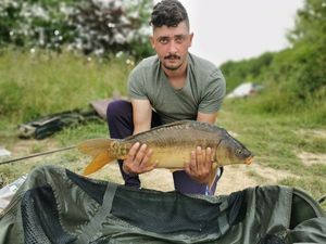 Mirror Carp