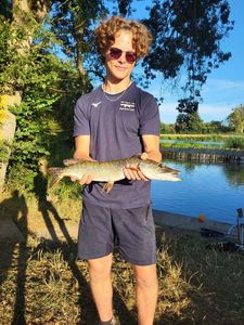 Northern Pike
