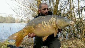 Mirror Carp