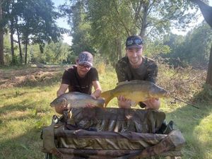 Mirror Carp