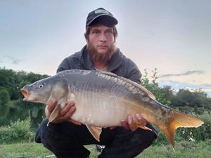 Mirror Carp